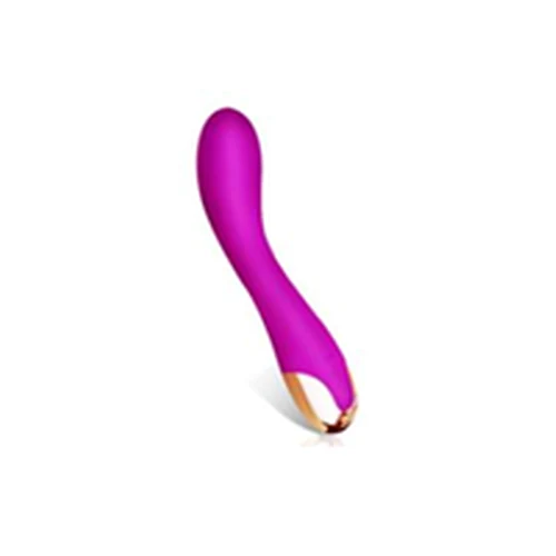Vibrador Recargable Estimulador Púrpura USB 10 Modos
